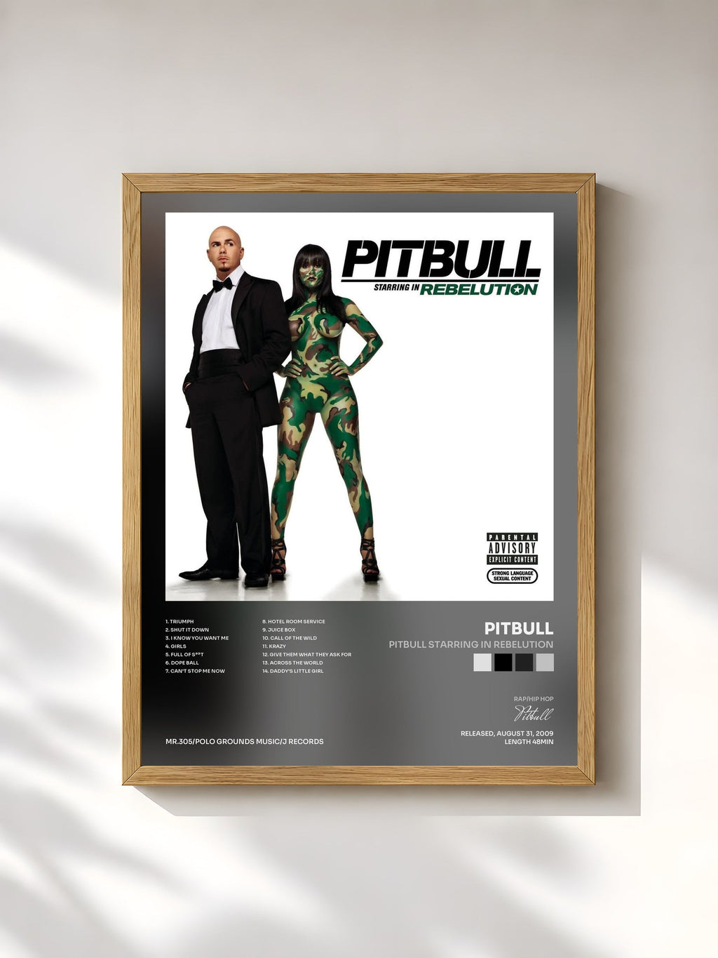 #bois Tableau de l'album Pitbull Starring In Rebelution de Pitbull, cadre en bois brut, imprimé et encadré en France