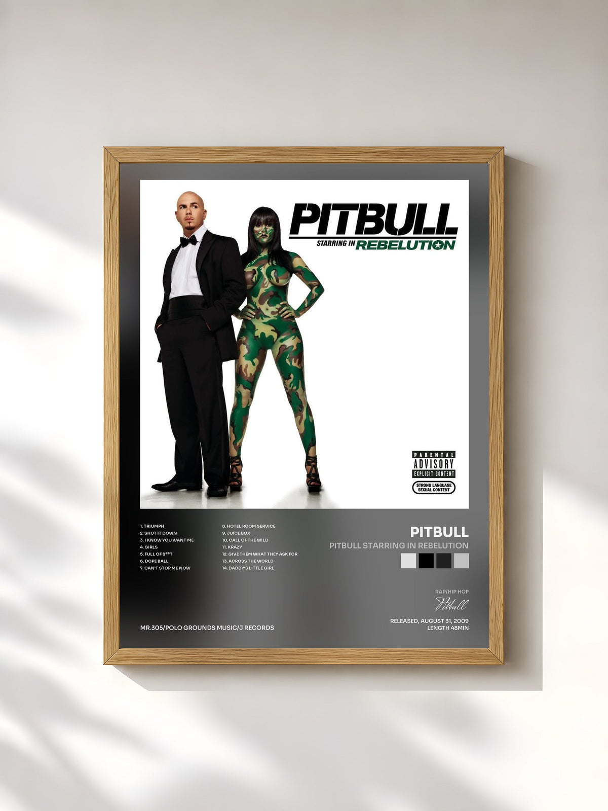 #bois Tableau de l'album Pitbull Starring In Rebelution de Pitbull, cadre en bois brut, imprimé et encadré en France