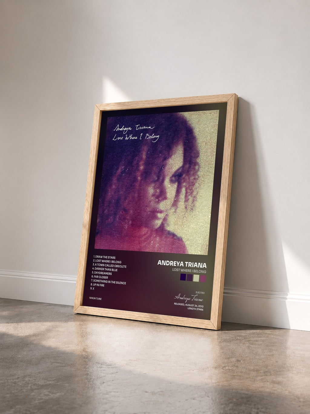 #bois Tableau de l'album Lost Where I Belong de Andreya Triana vu de trois quarts, cadre en bois brut