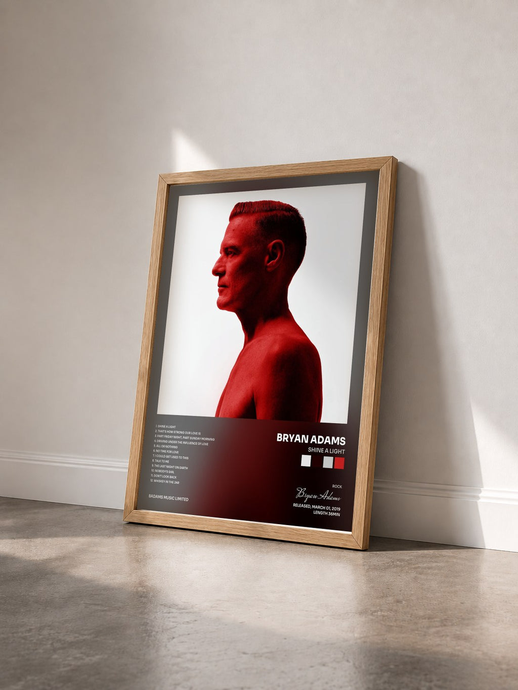 #bois Tableau de l'album Shine A Light de Bryan Adams vu de trois quarts, cadre en bois brut