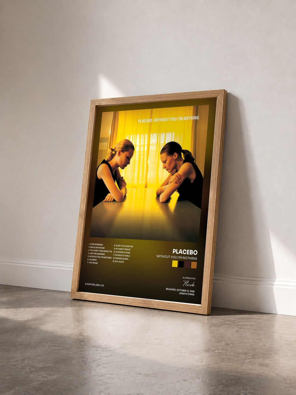 #bois Tableau de l'album Without You I'm Nothing de Placebo vu de trois quarts, cadre en bois brut