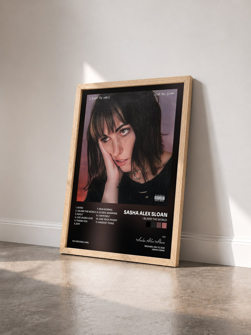 #bois Tableau de l'album I Blame The World de Sasha Alex Sloan vu de trois quarts, cadre en bois brut