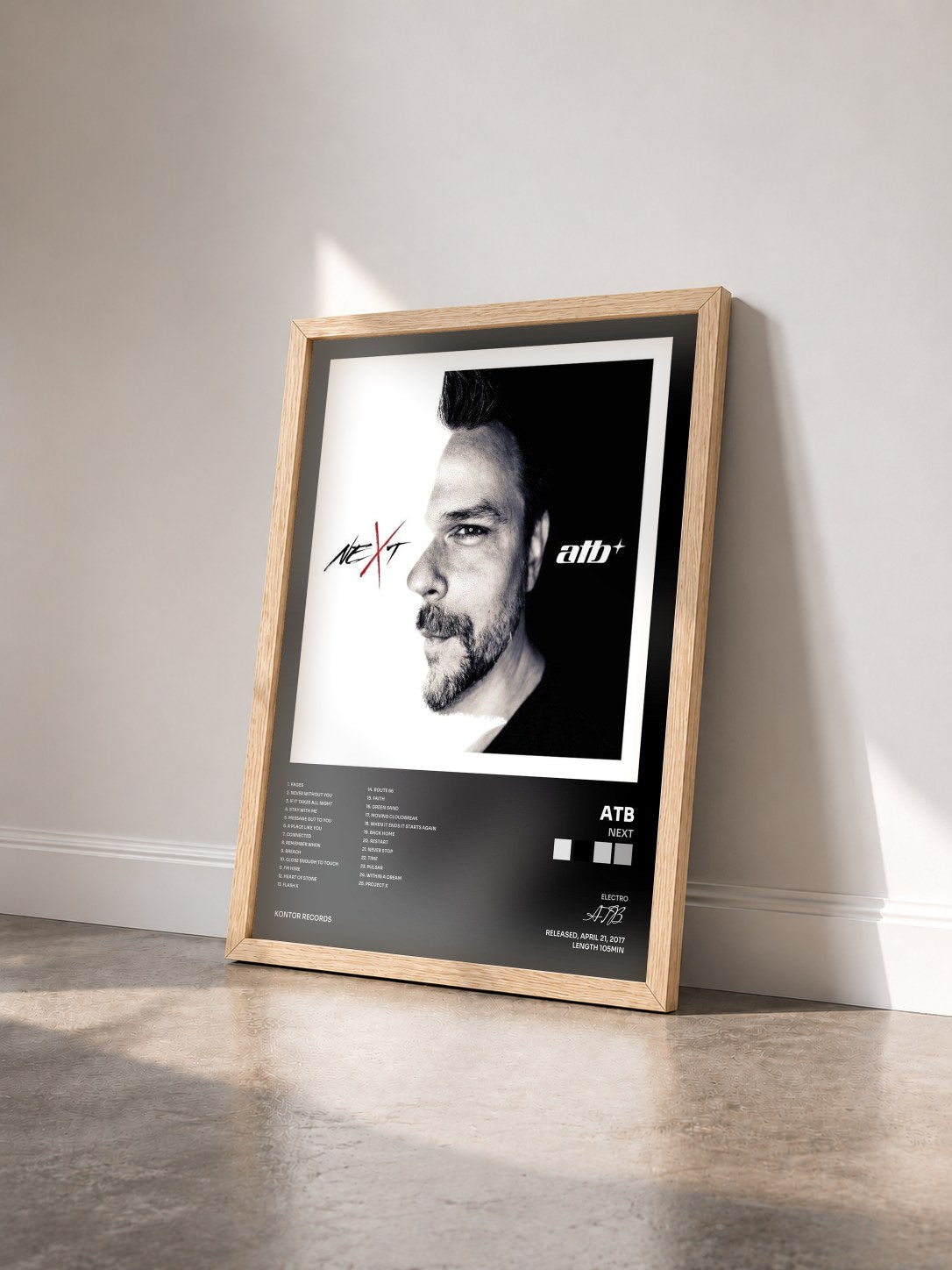#bois Tableau de l'album neXt de ATB vu de trois quarts, cadre en bois brut