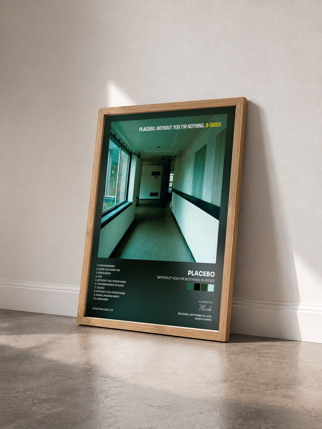 #bois Tableau de l'album Without You I'm Nothing: B-Sides de Placebo vu de trois quarts, cadre en bois brut