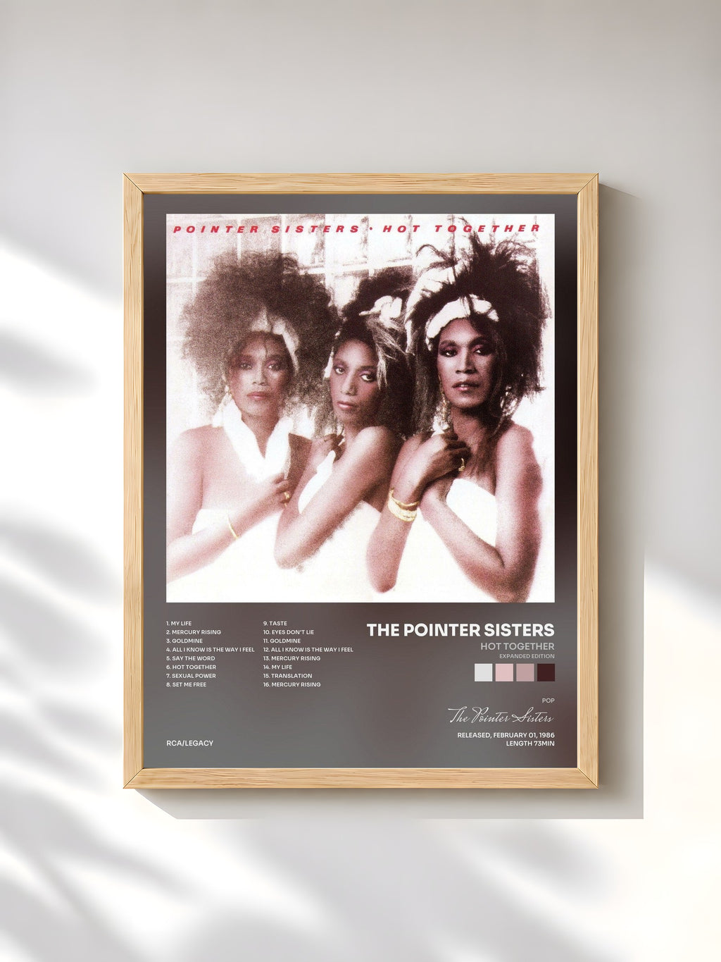 #bois Tableau de l'album Hot Together (Expanded Edition) de The Pointer Sisters, cadre en bois brut, imprimé et encadré en France