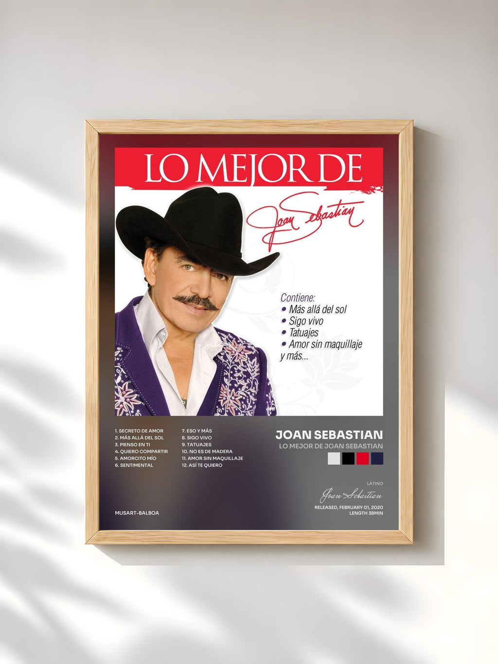 #bois Tableau de l'album Lo Mejor De Joan Sebastian de Joan Sebastian, cadre en bois brut, imprimé et encadré en France