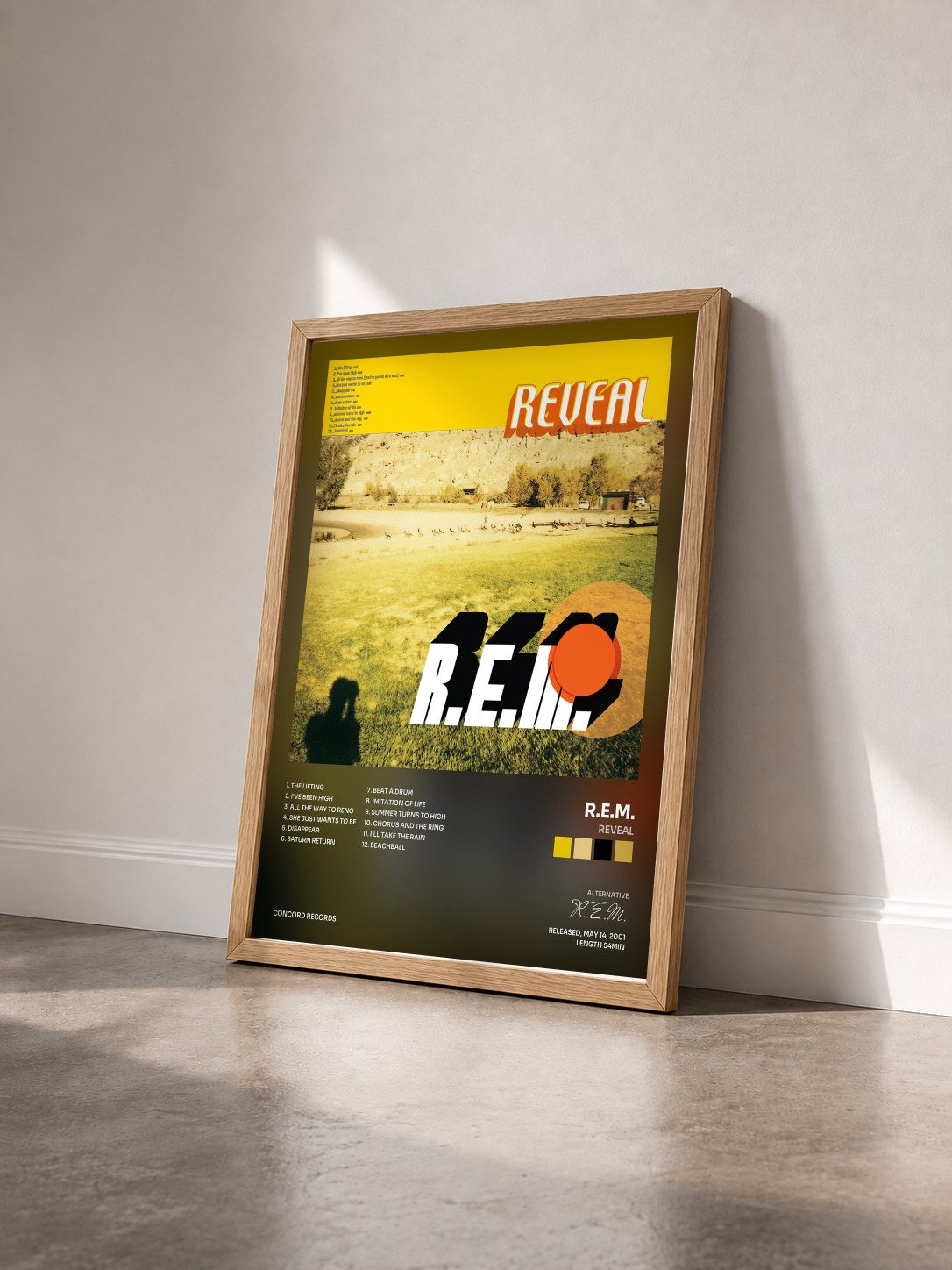 #bois Tableau de l'album Reveal de R.E.M. vu de trois quarts, cadre en bois brut