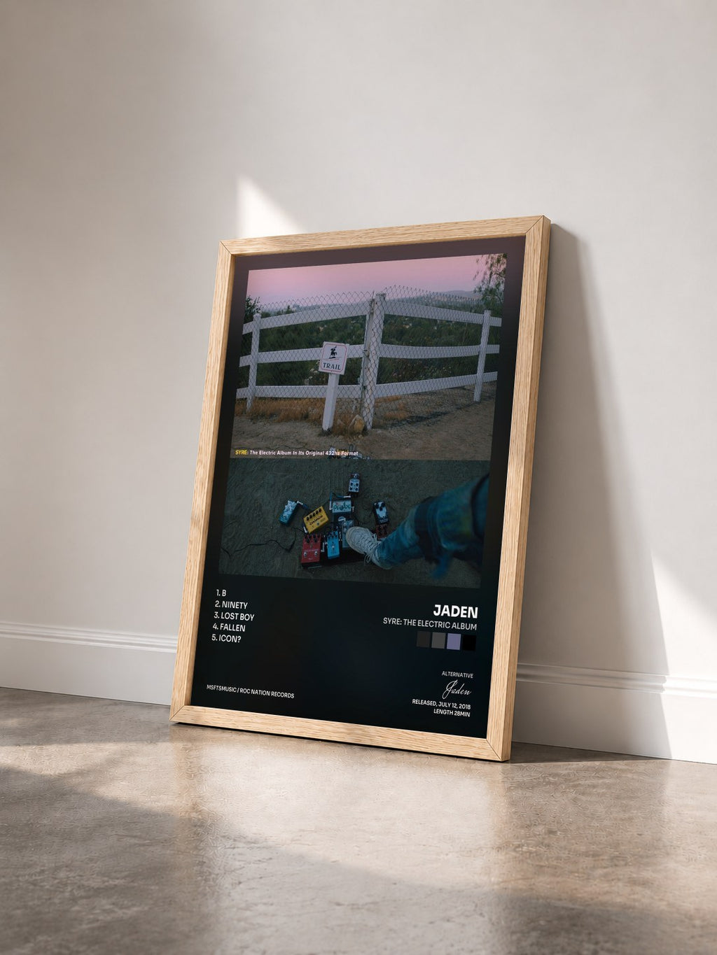 #bois Tableau de l'album SYRE: THE ELECTRIC ALBUM de Jaden vu de trois quarts, cadre en bois brut