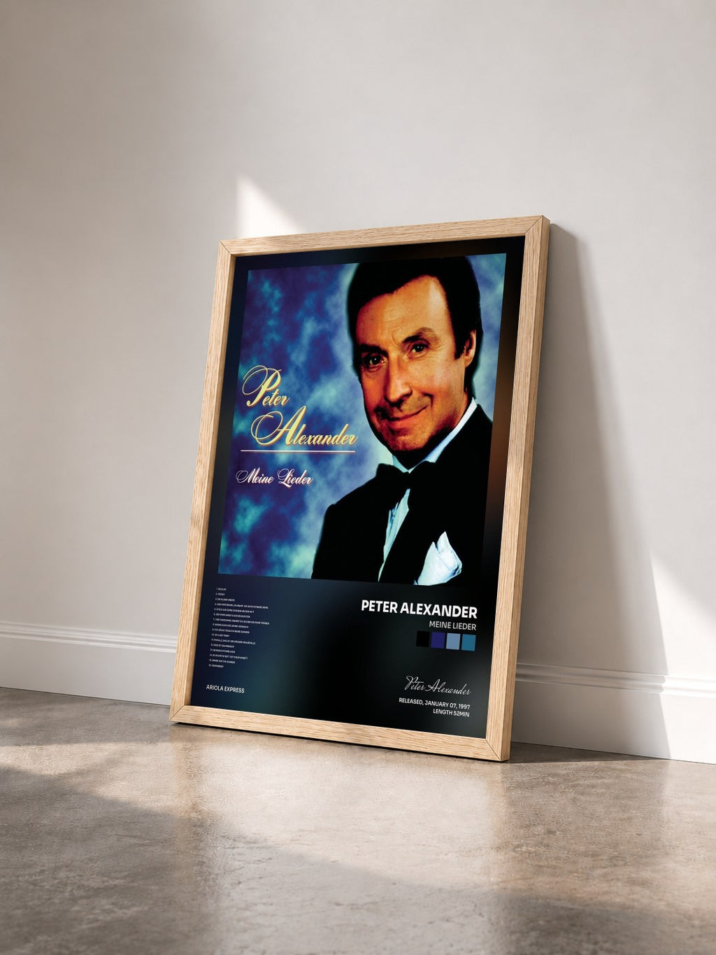 #bois Tableau de l'album Meine Lieder de Peter Alexander vu de trois quarts, cadre en bois brut