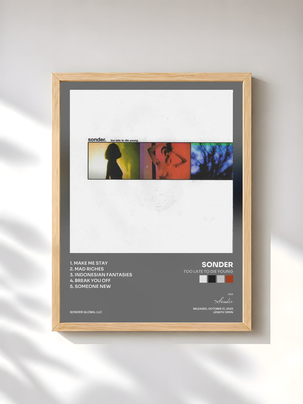#bois Tableau de l'album Too Late To Die Young de Sonder, cadre en bois brut, imprimé et encadré en France