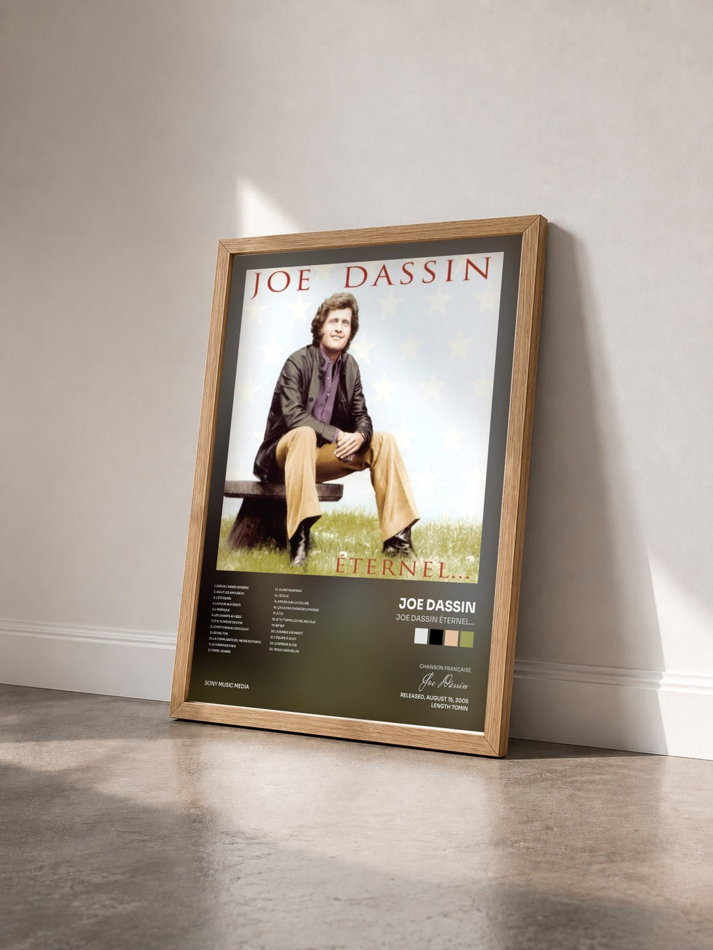 #bois Tableau de l'album Joe Dassin Éternel... de Joe Dassin vu de trois quarts, cadre en bois brut