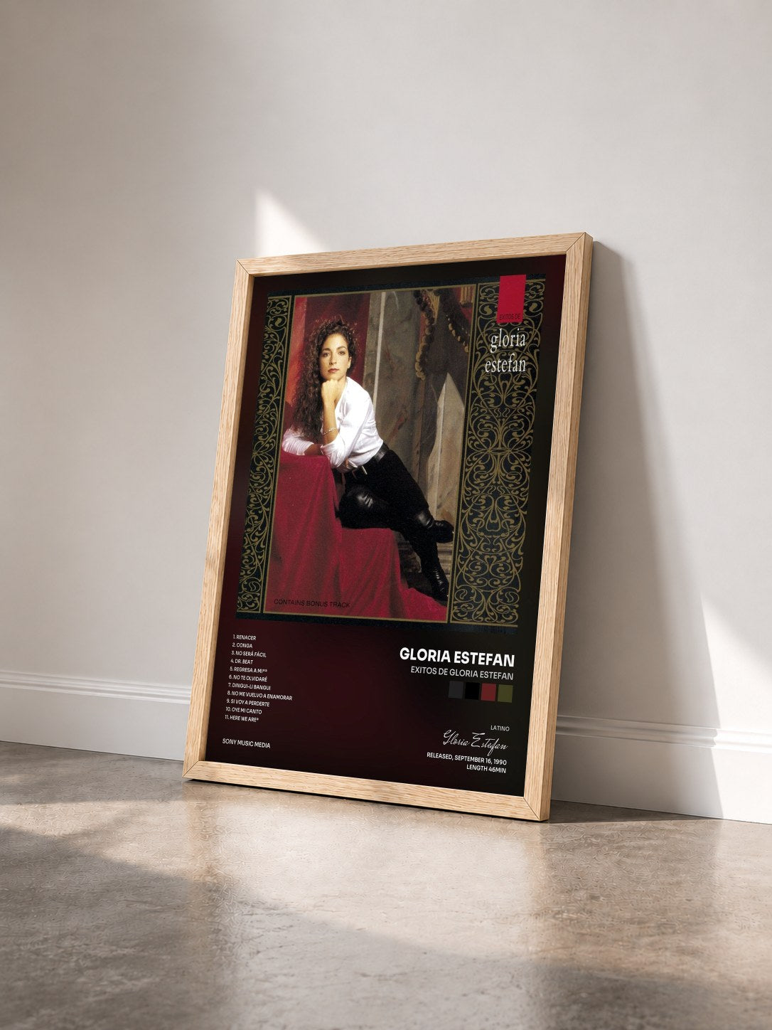 #bois Tableau de l'album Exitos de gloria estefan de Gloria Estefan vu de trois quarts, cadre en bois brut