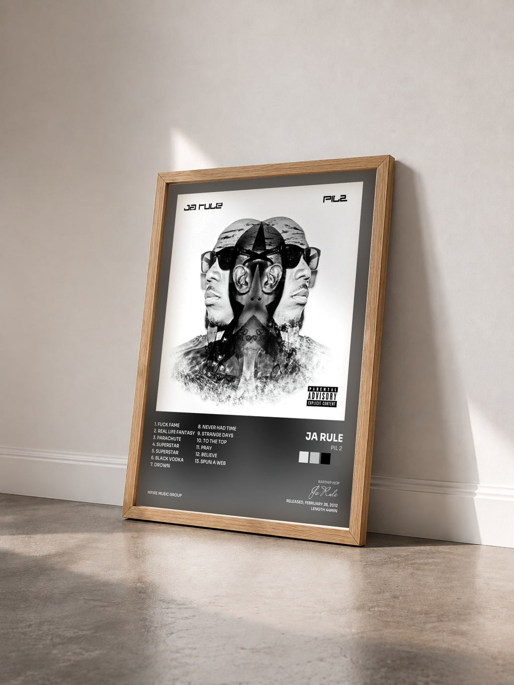 #bois Tableau de l'album PIL 2 de Ja Rule vu de trois quarts, cadre en bois brut