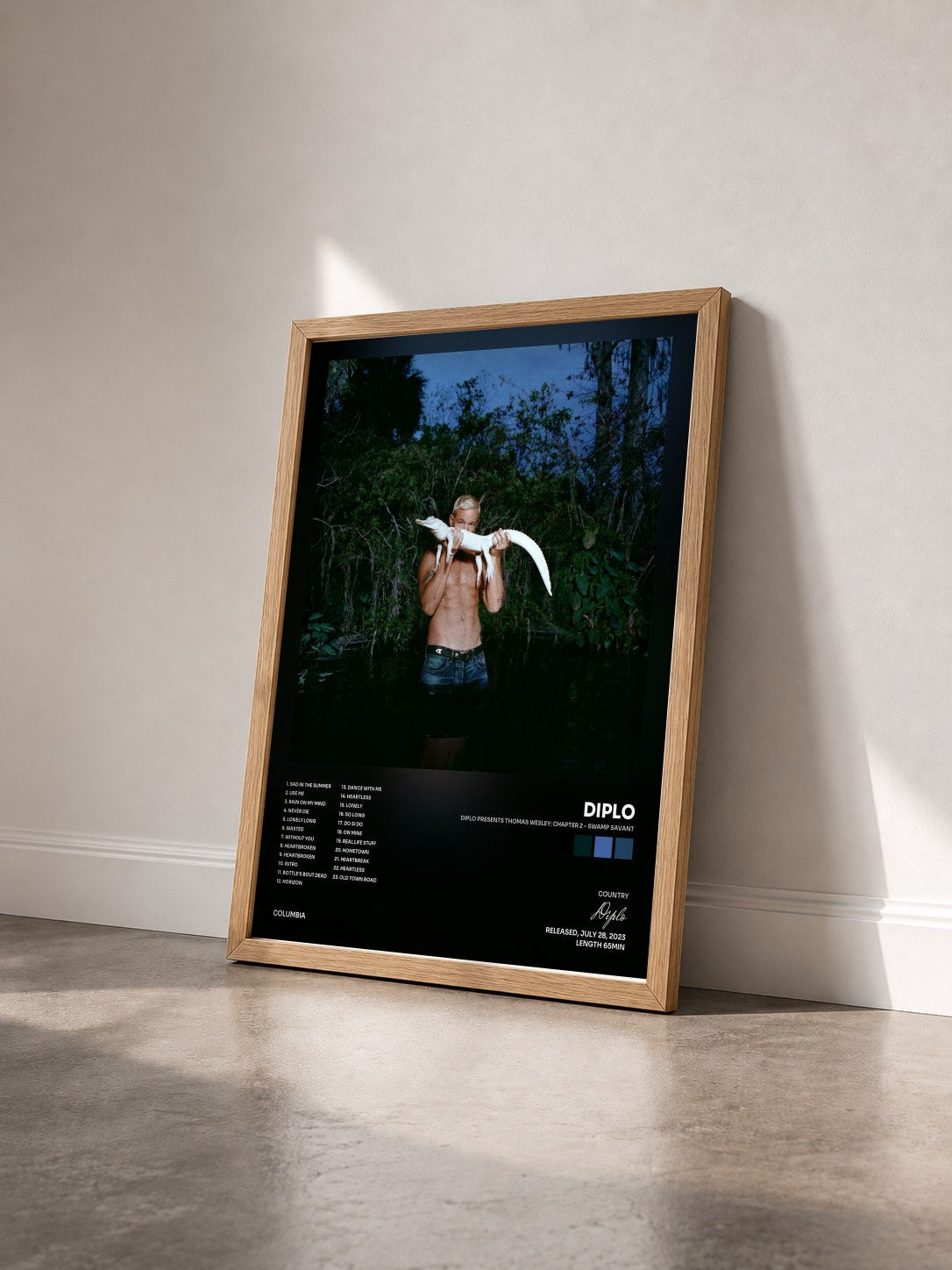 #bois Tableau de l'album Diplo Presents Thomas Wesley: Chapter 2 - Swamp Savant de Diplo vu de trois quarts, cadre en bois brut