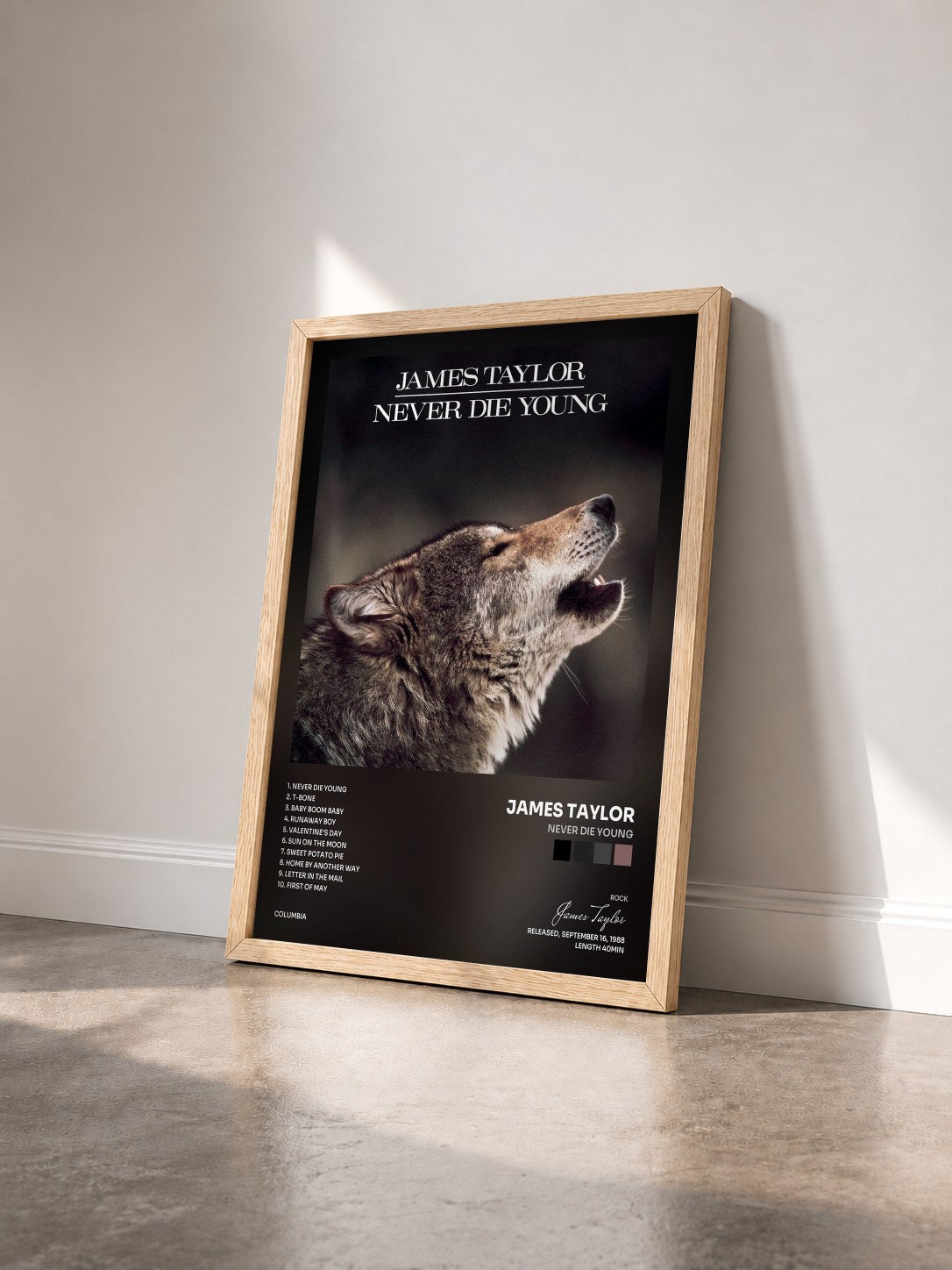 #bois Tableau de l'album Never Die Young de James Taylor vu de trois quarts, cadre en bois brut