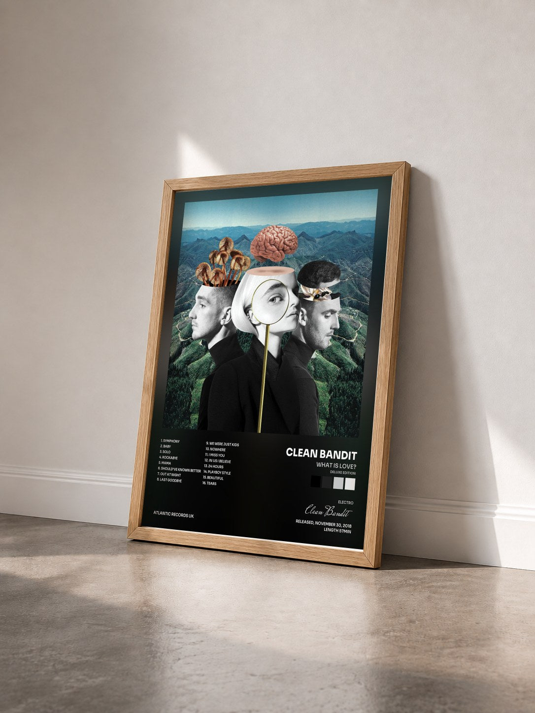 #bois Tableau de l'album What Is Love? (Deluxe Edition) de Clean Bandit vu de trois quarts, cadre en bois brut