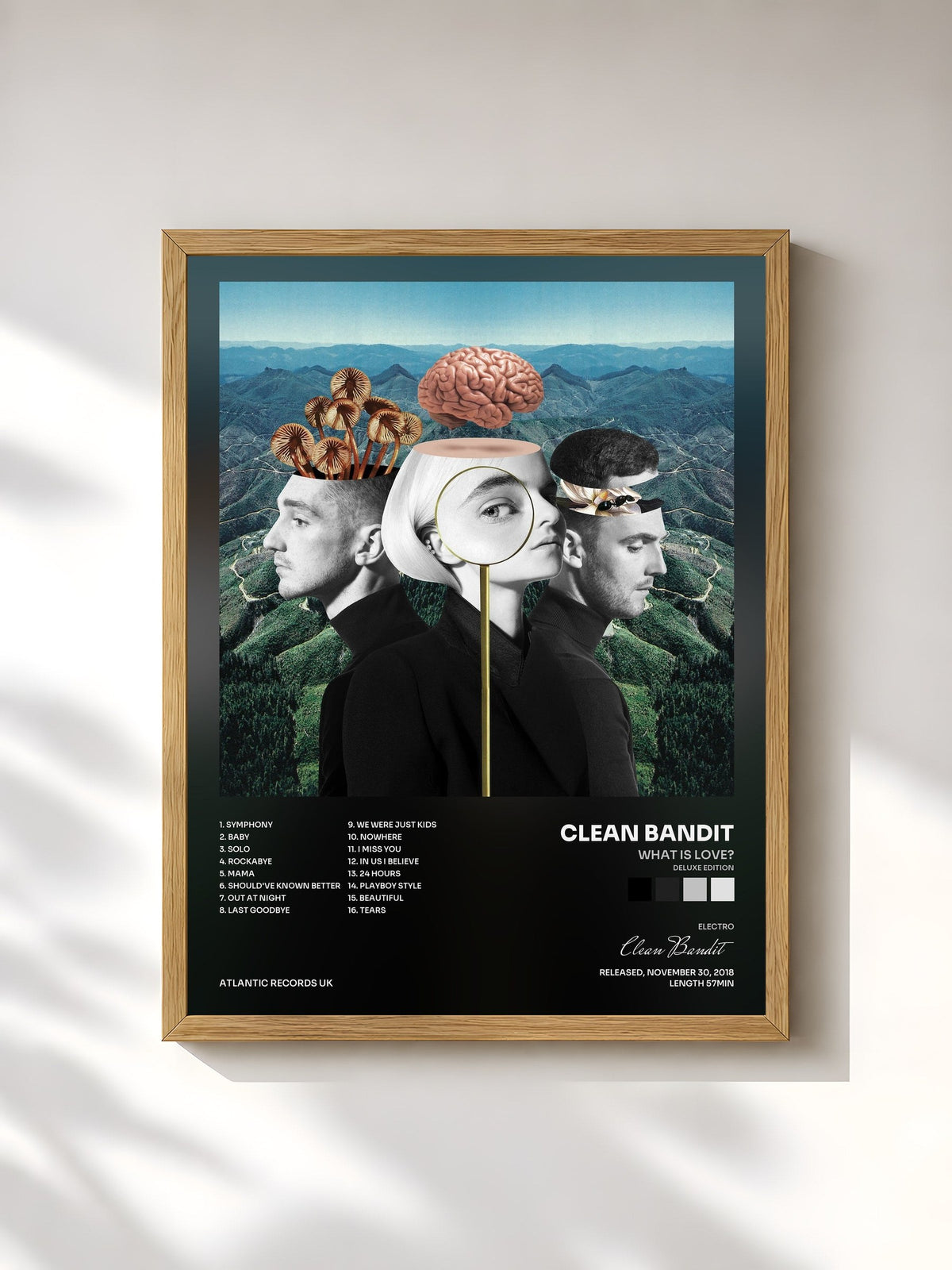 #bois Tableau de l'album What Is Love? (Deluxe Edition) de Clean Bandit, cadre en bois brut, imprimé et encadré en France
