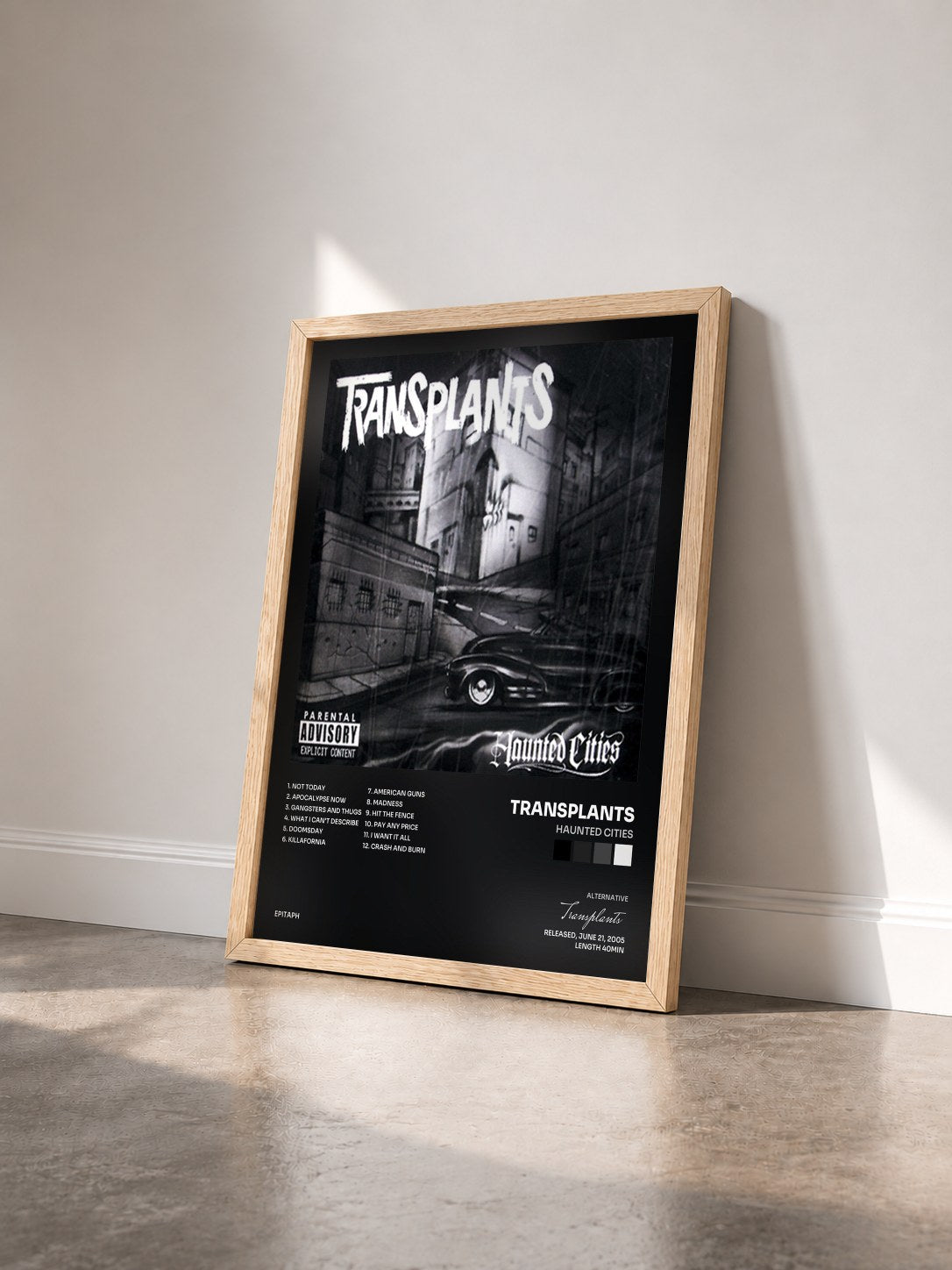 #bois Tableau de l'album Haunted Cities de Transplants vu de trois quarts, cadre en bois brut