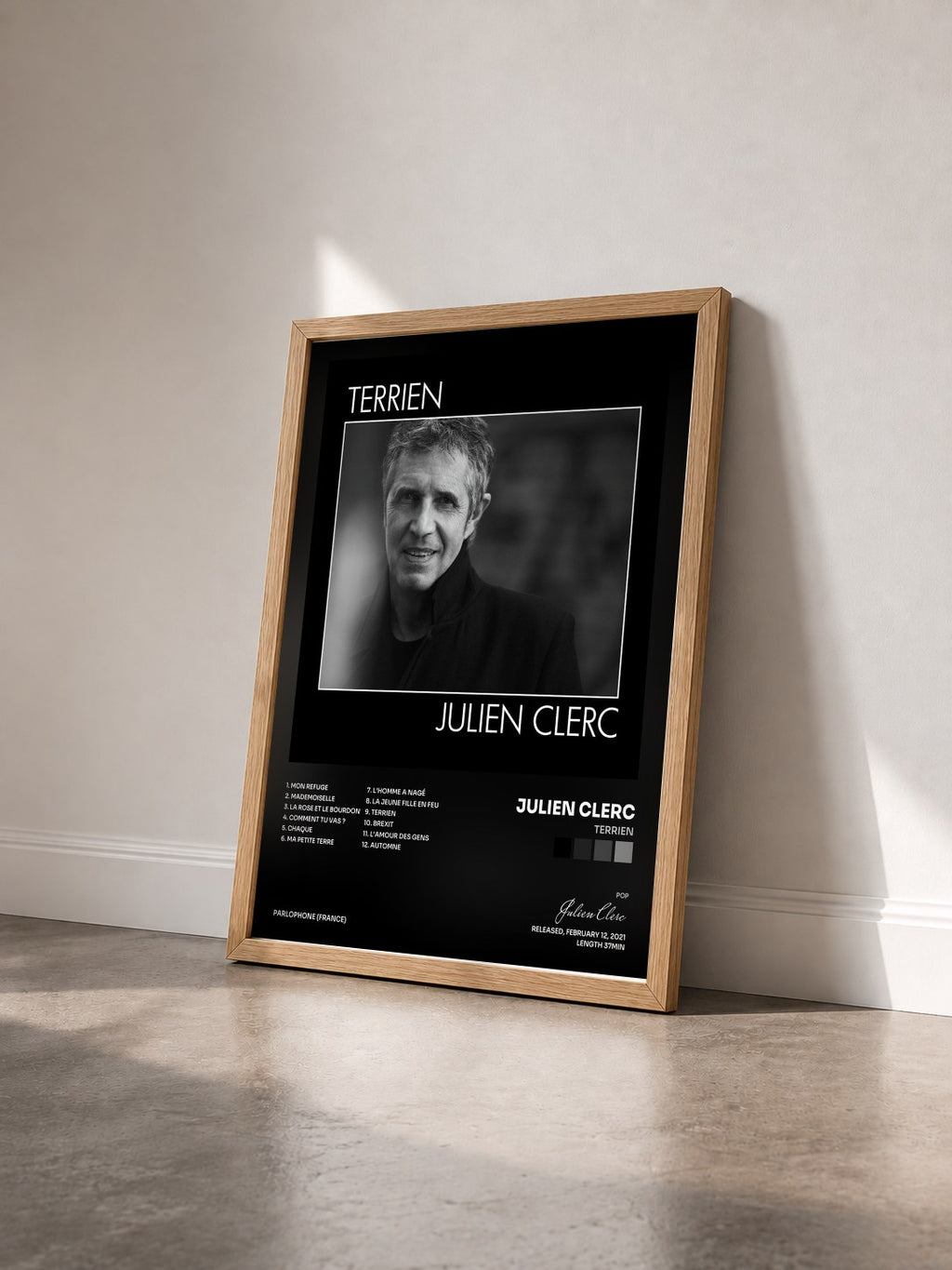 #bois Tableau de l'album Terrien de Julien Clerc vu de trois quarts, cadre en bois brut