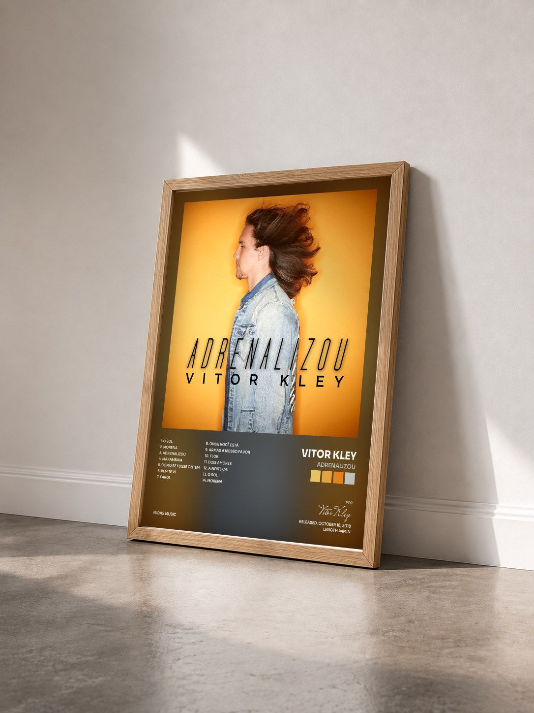 #bois Tableau de l'album Adrenalizou de Vitor Kley vu de trois quarts, cadre en bois brut