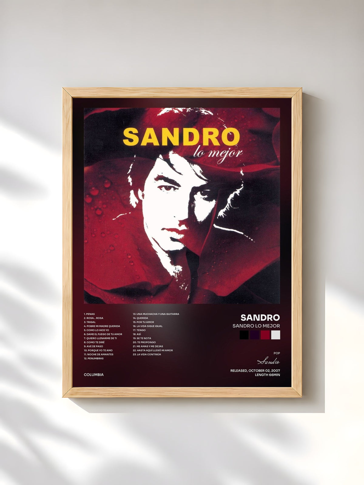 #bois Tableau de l'album Sandro Lo Mejor de Sandro, cadre en bois brut, imprimé et encadré en France