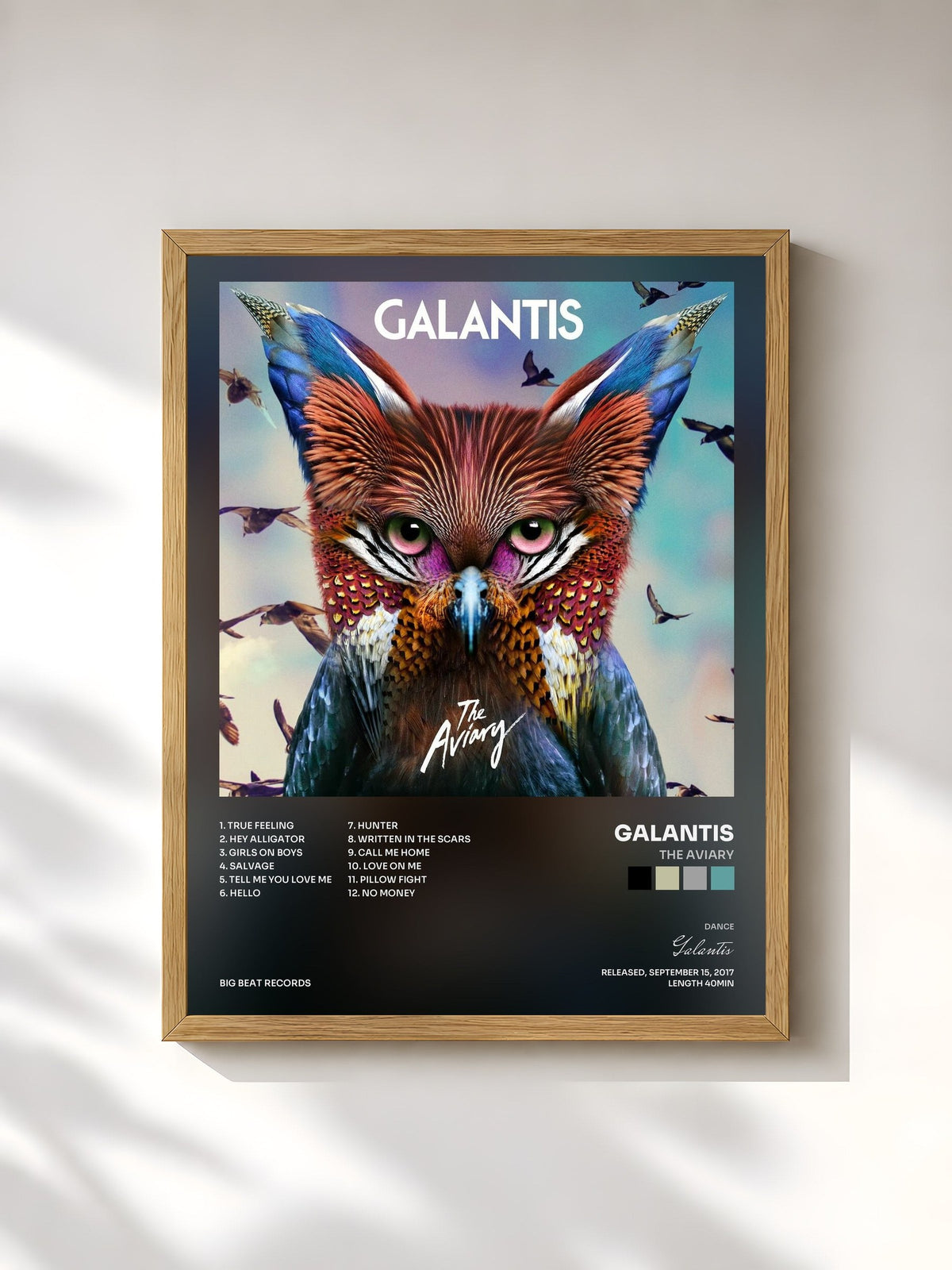 #bois Tableau de l'album The Aviary de Galantis, cadre en bois brut, imprimé et encadré en France