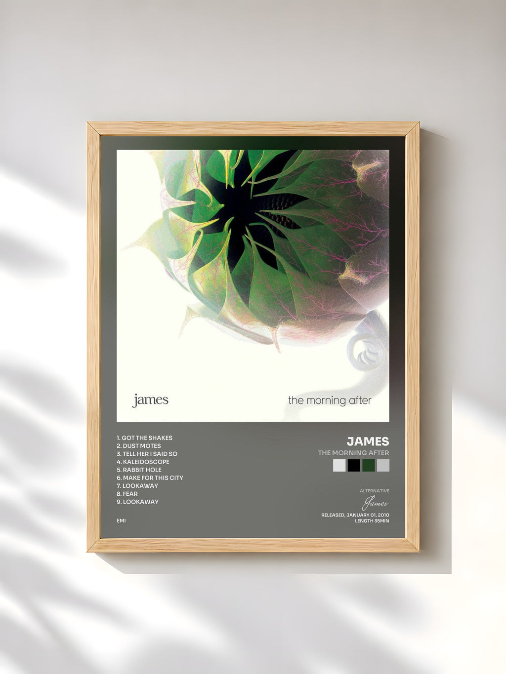 #bois Tableau de l'album The Morning After de James, cadre en bois brut, imprimé et encadré en France