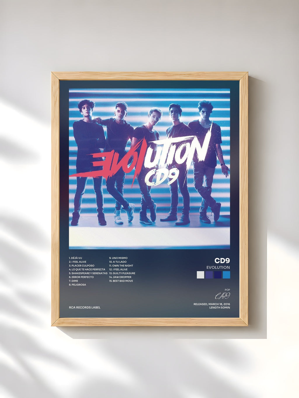 #bois Tableau de l'album EVOLUTION de CD9, cadre en bois brut, imprimé et encadré en France