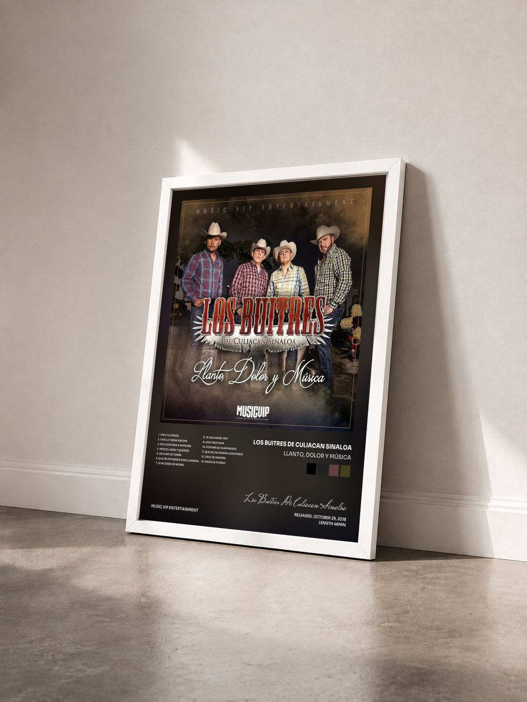 #blanc Tableau de l'album Llanto, Dolor y Música de Los Buitres De Culiacan Sinaloa vu de trois quarts, cadre blanc