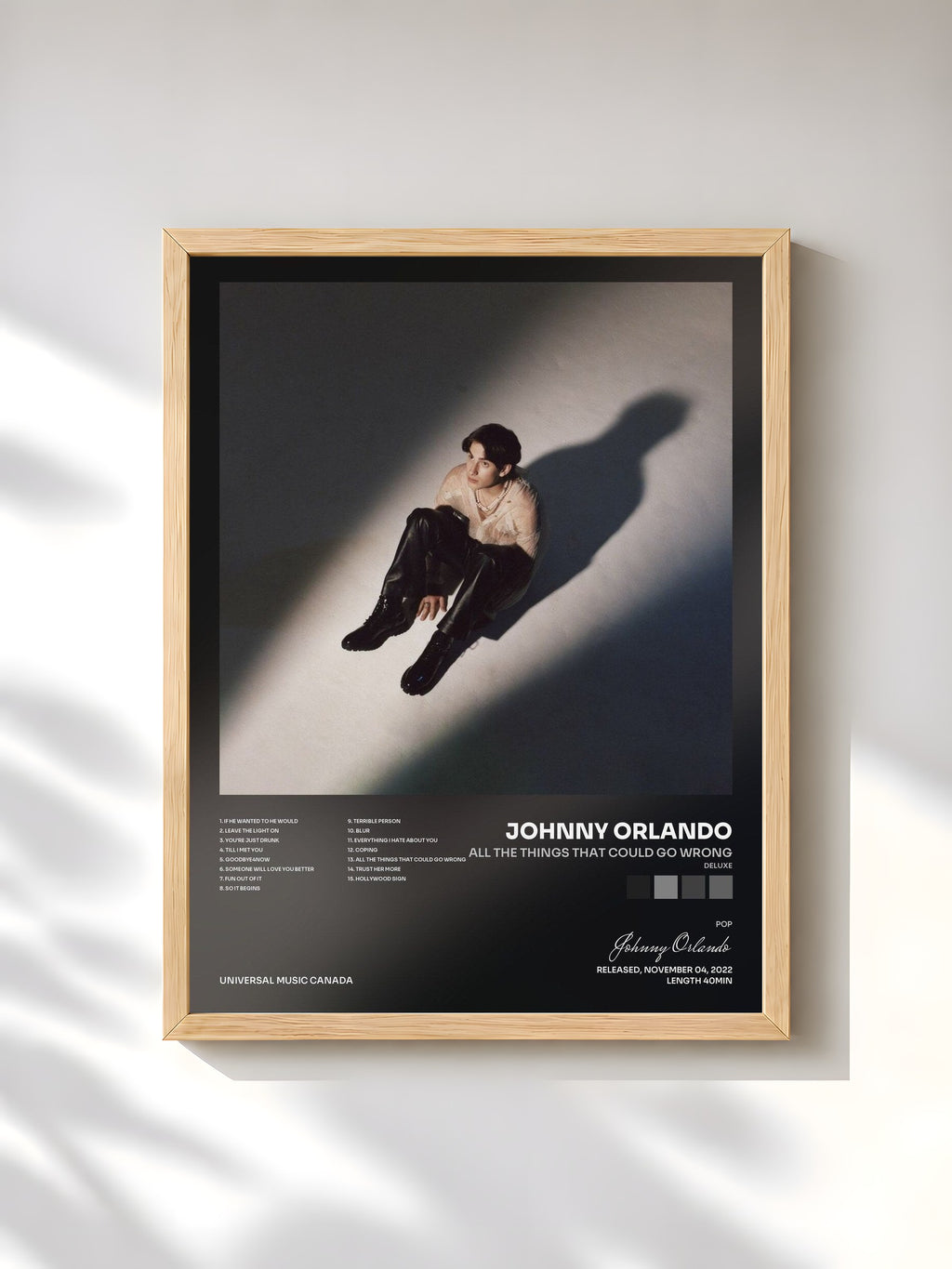 #bois Tableau de l'album all the things that could go wrong (Deluxe) de Johnny Orlando, cadre en bois brut, imprimé et encadré en France