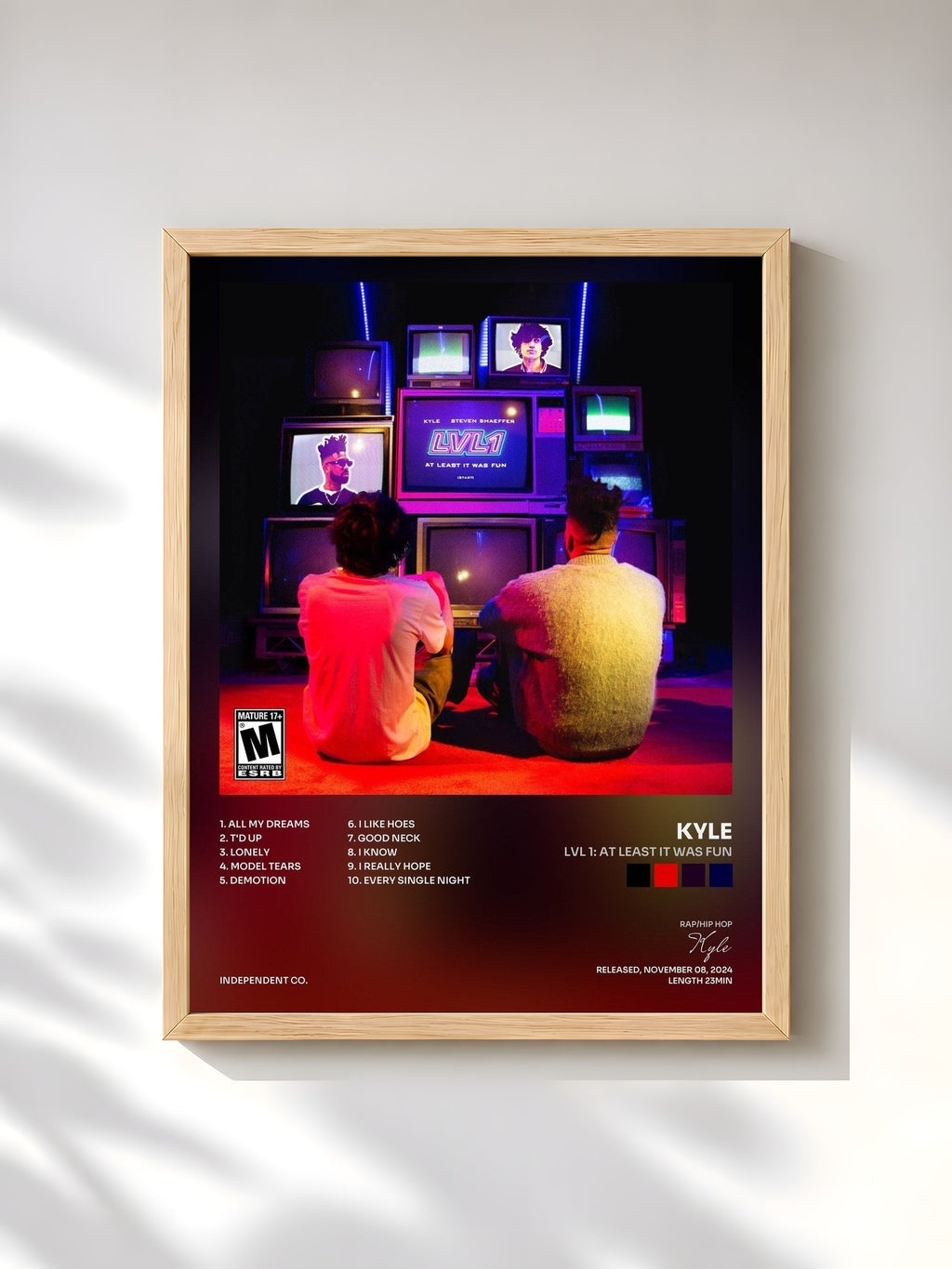 #bois Tableau de l'album Lvl 1: At Least It Was Fun de Kyle, cadre en bois brut, imprimé et encadré en France