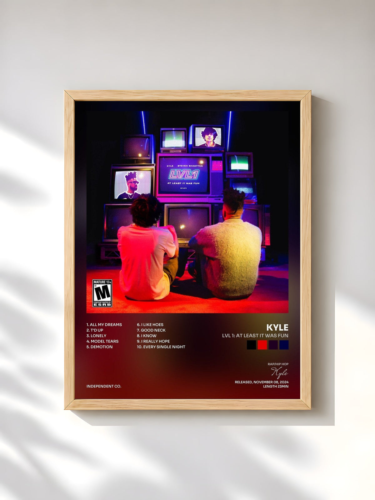 #bois Tableau de l'album Lvl 1: At Least It Was Fun de Kyle, cadre en bois brut, imprimé et encadré en France