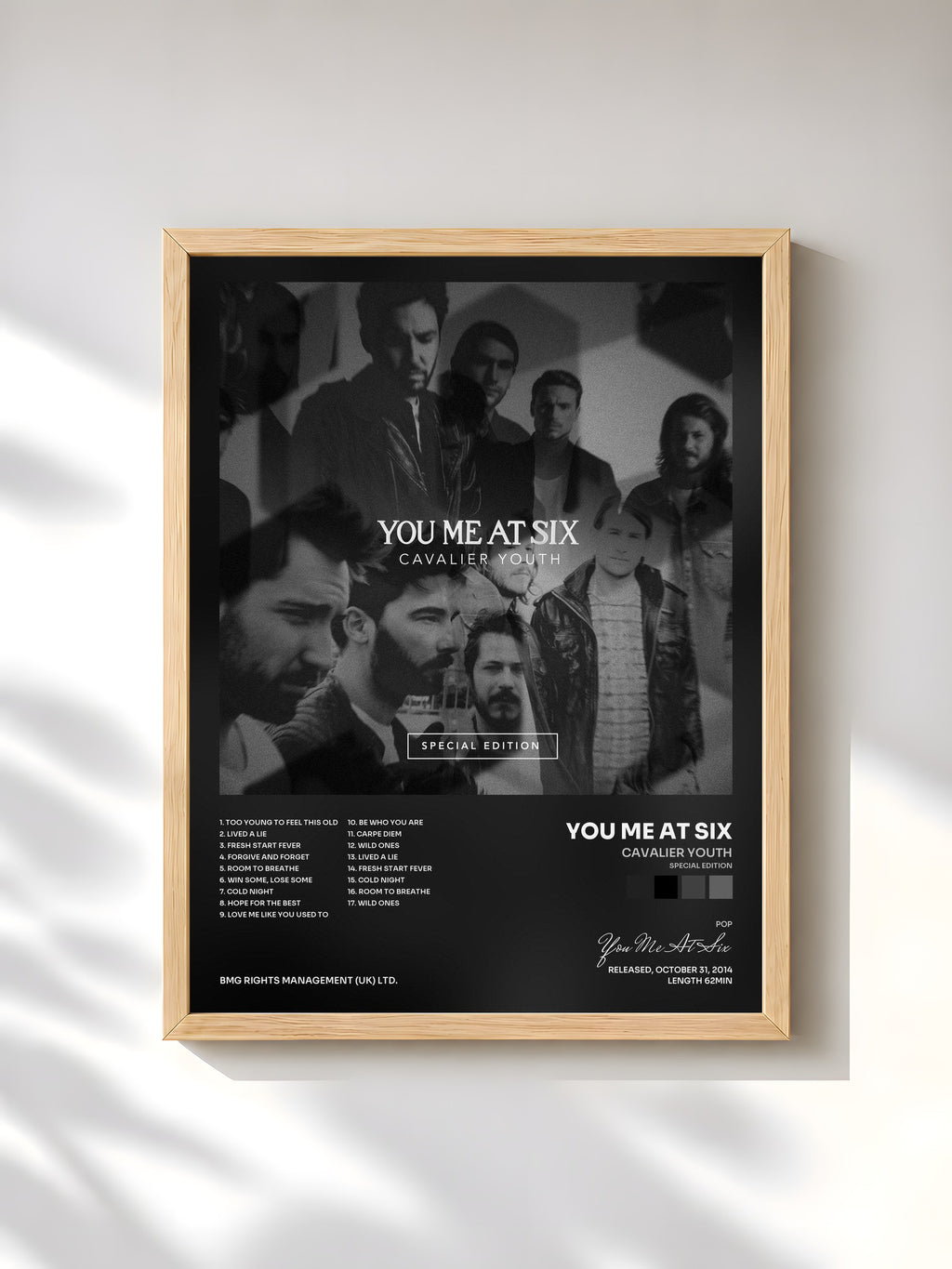 #bois Tableau de l'album Cavalier Youth (Special Edition) de You Me At Six, cadre en bois brut, imprimé et encadré en France