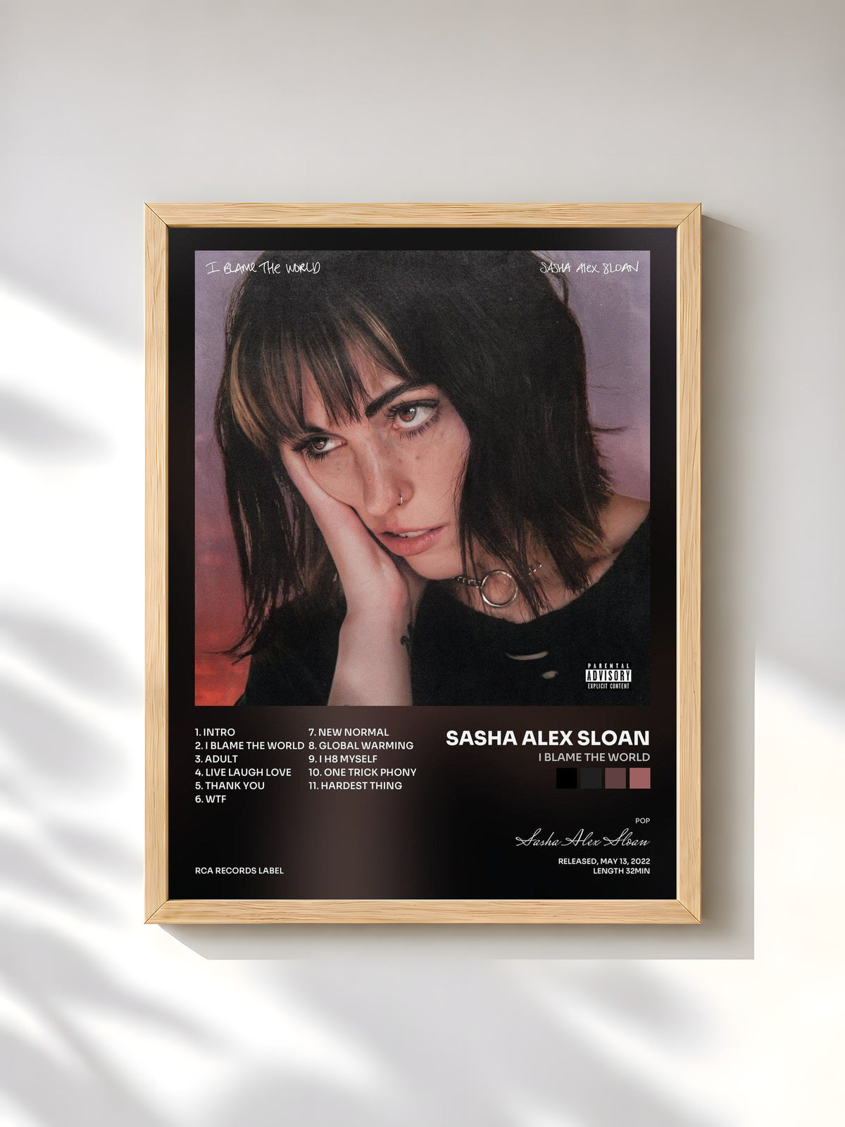 #bois Tableau de l'album I Blame The World de Sasha Alex Sloan, cadre en bois brut, imprimé et encadré en France
