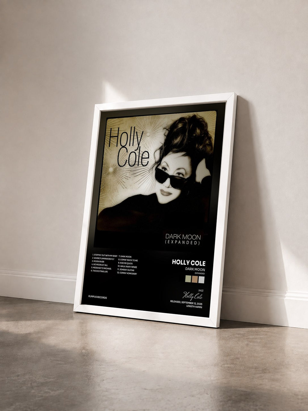 #blanc Tableau de l'album Dark Moon (Expanded) de Holly Cole vu de trois quarts, cadre blanc