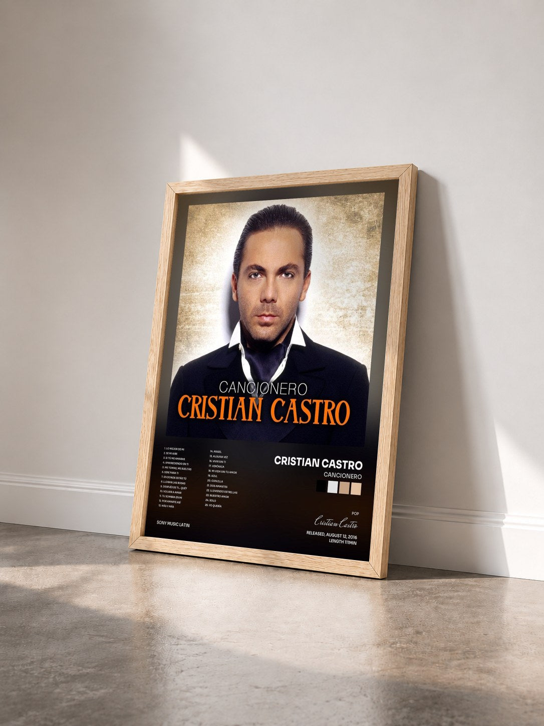 #bois Tableau de l'album Cancionero de Cristian Castro vu de trois quarts, cadre en bois brut