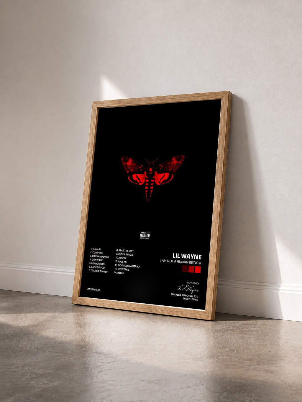 #bois Tableau de l'album I Am Not A Human Being II de Lil Wayne vu de trois quarts, cadre en bois brut