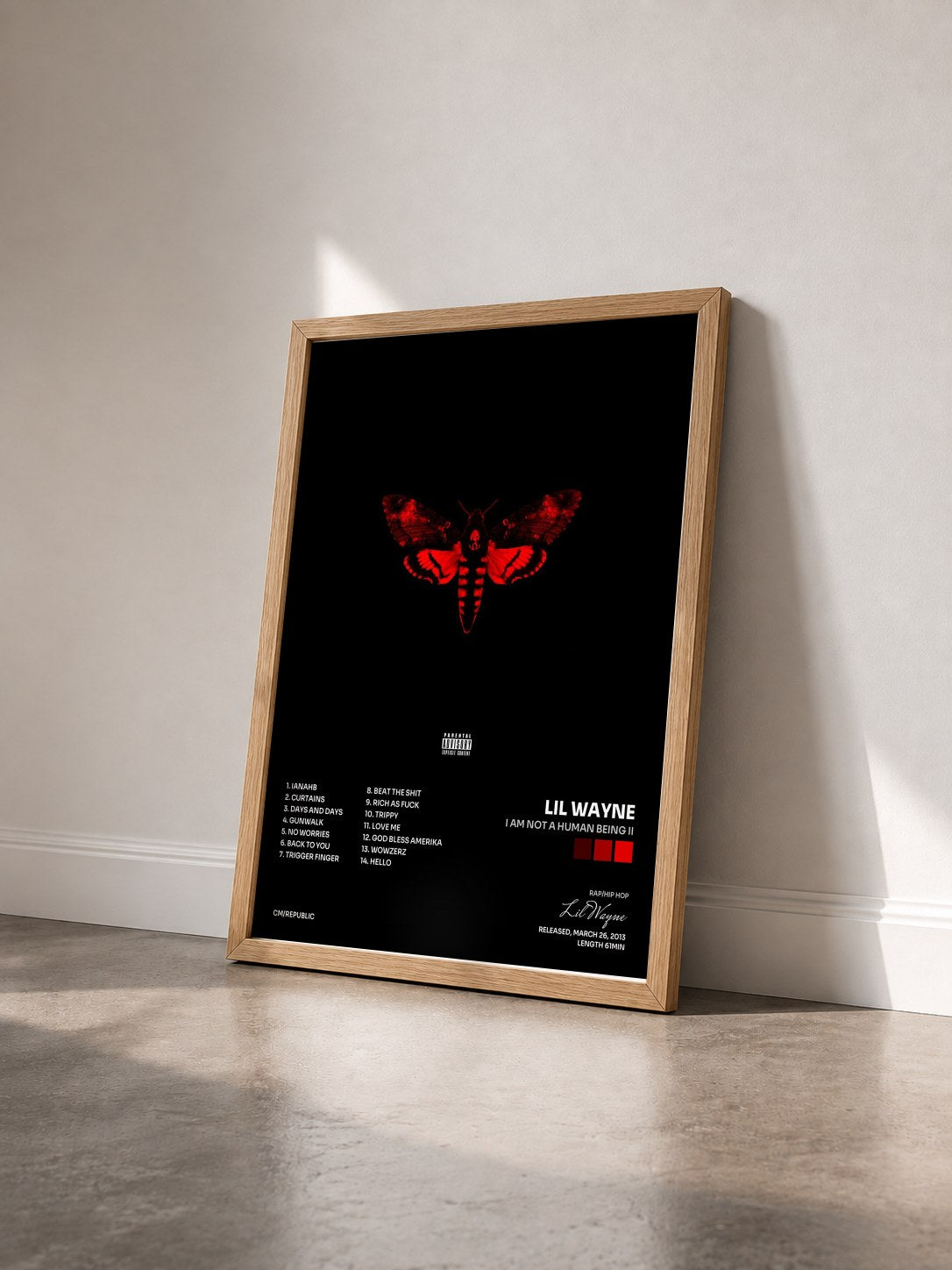 #bois Tableau de l'album I Am Not A Human Being II de Lil Wayne vu de trois quarts, cadre en bois brut