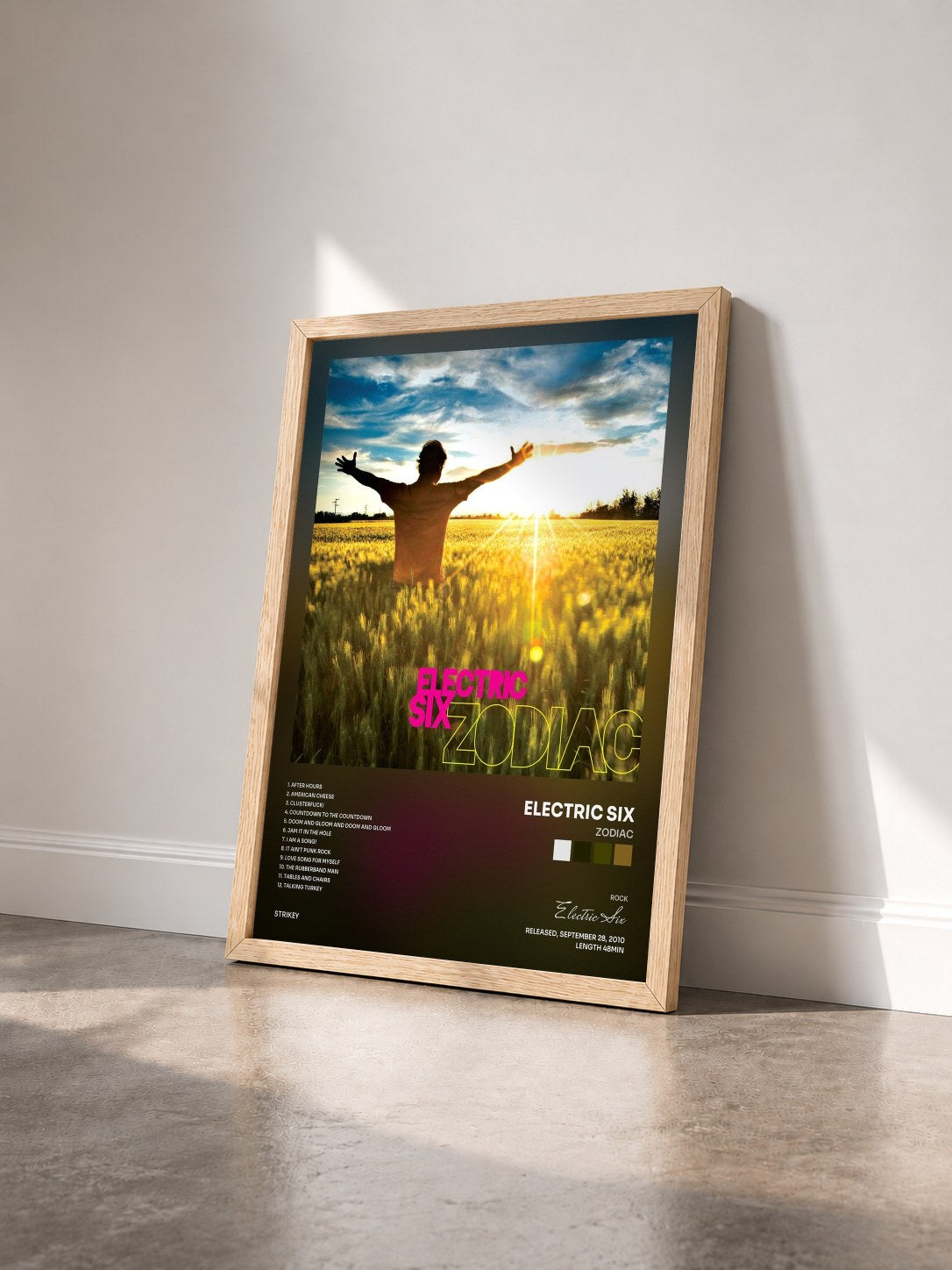 #bois Tableau de l'album Zodiac de Electric Six vu de trois quarts, cadre en bois brut