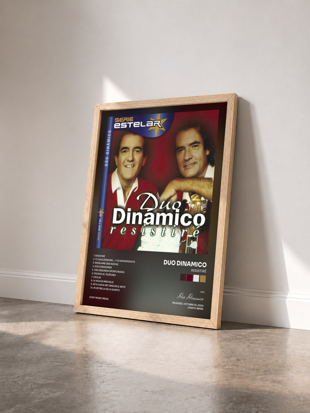 #bois Tableau de l'album Resistiré de Duo Dinamico vu de trois quarts, cadre en bois brut