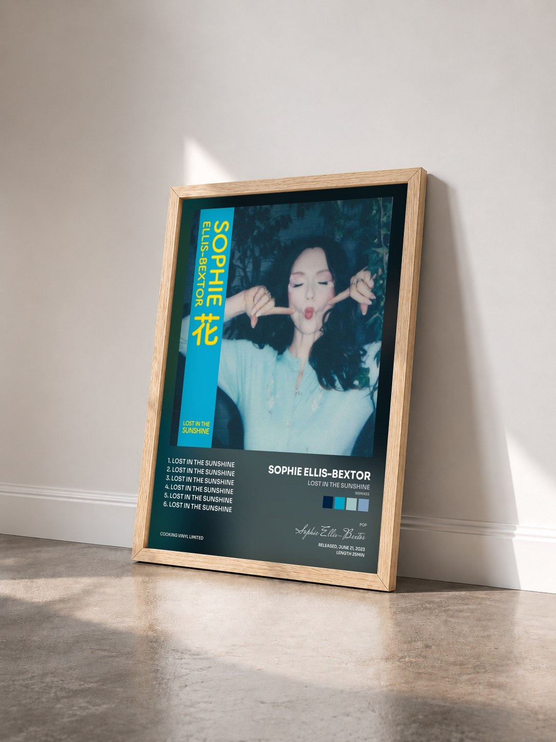 #bois Tableau de l'album Lost in the Sunshine (Remixes) de Sophie Ellis-Bextor vu de trois quarts, cadre en bois brut