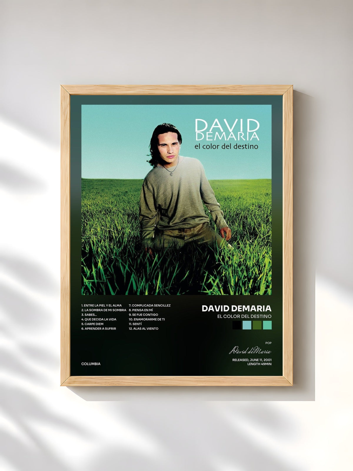 #bois Tableau de l'album El Color Del Destino de David deMaria, cadre en bois brut, imprimé et encadré en France