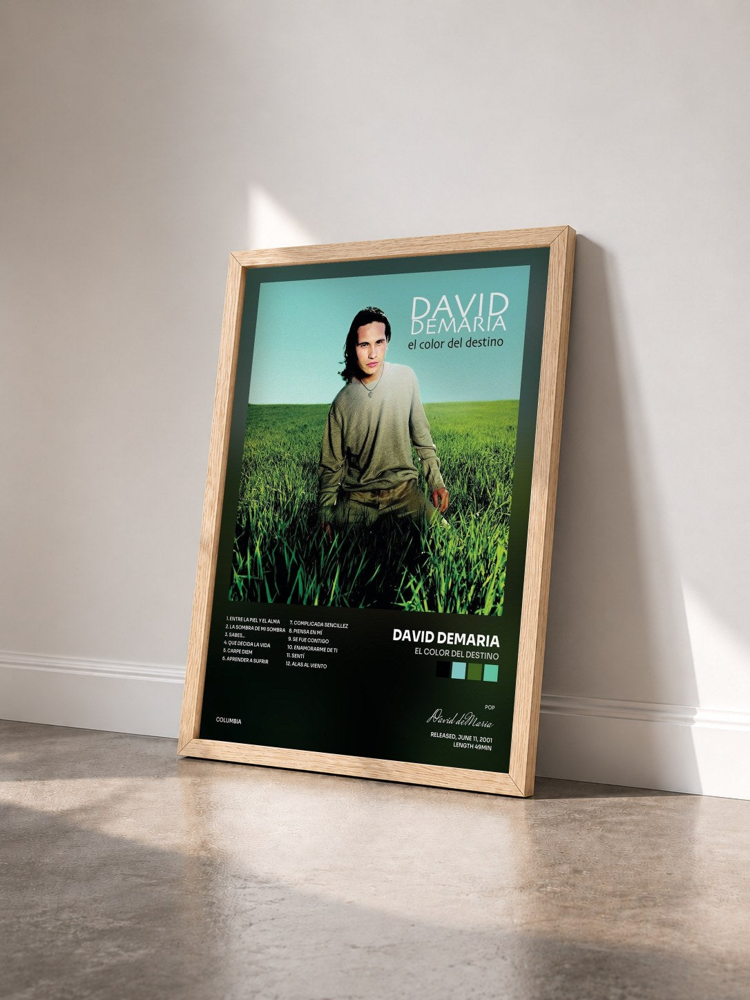 #bois Tableau de l'album El Color Del Destino de David deMaria vu de trois quarts, cadre en bois brut