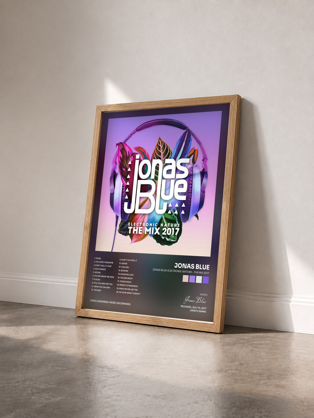 #bois Tableau de l'album Jonas Blue: Electronic Nature - The Mix 2017 de Jonas Blue vu de trois quarts, cadre en bois brut