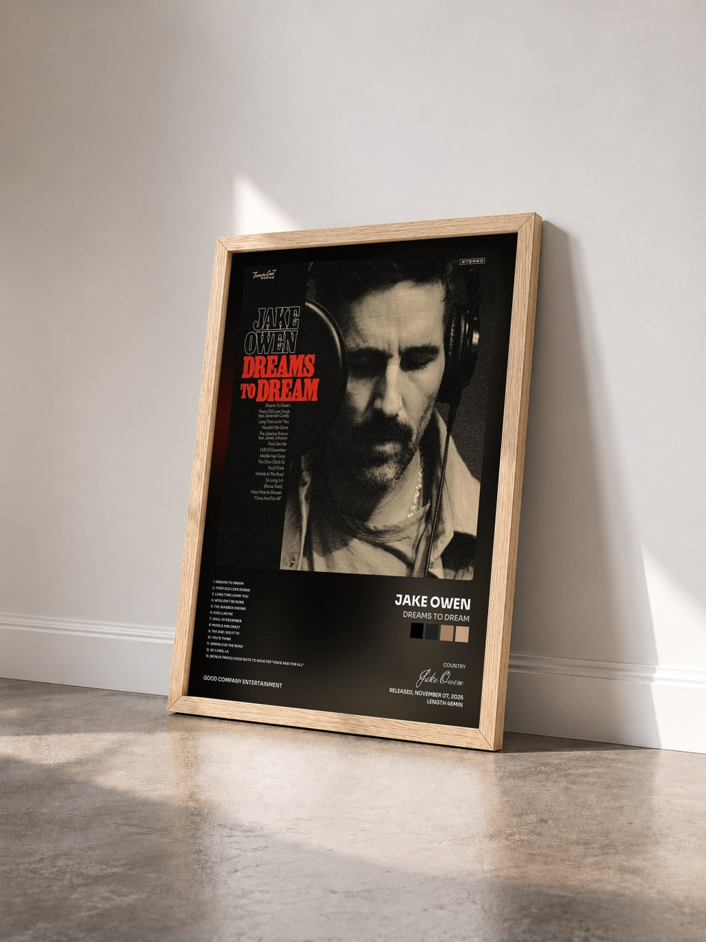 #bois Tableau de l'album Dreams to Dream de Jake Owen vu de trois quarts, cadre en bois brut