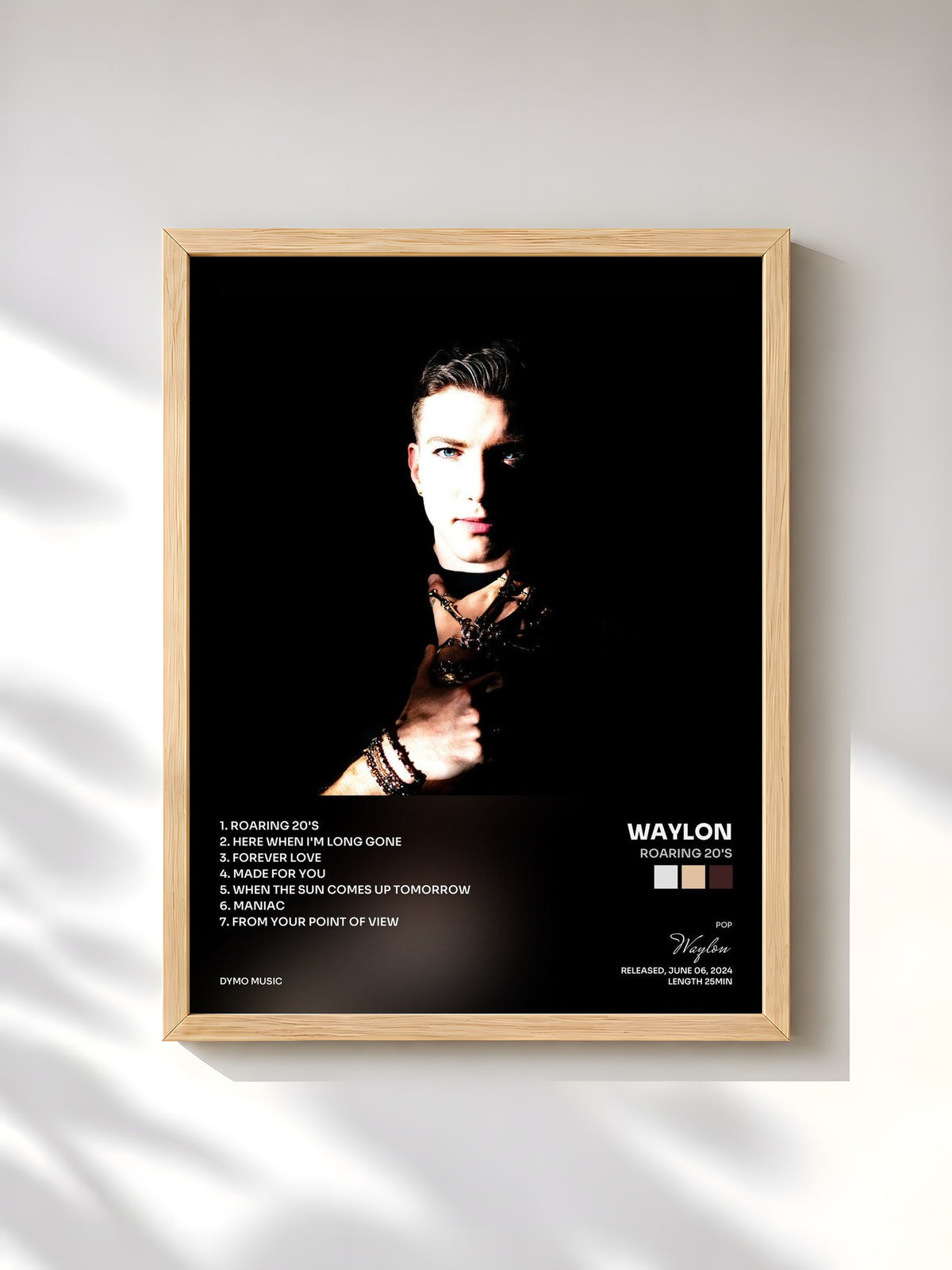 #bois Tableau de l'album Roaring 20's de Waylon, cadre en bois brut, imprimé et encadré en France