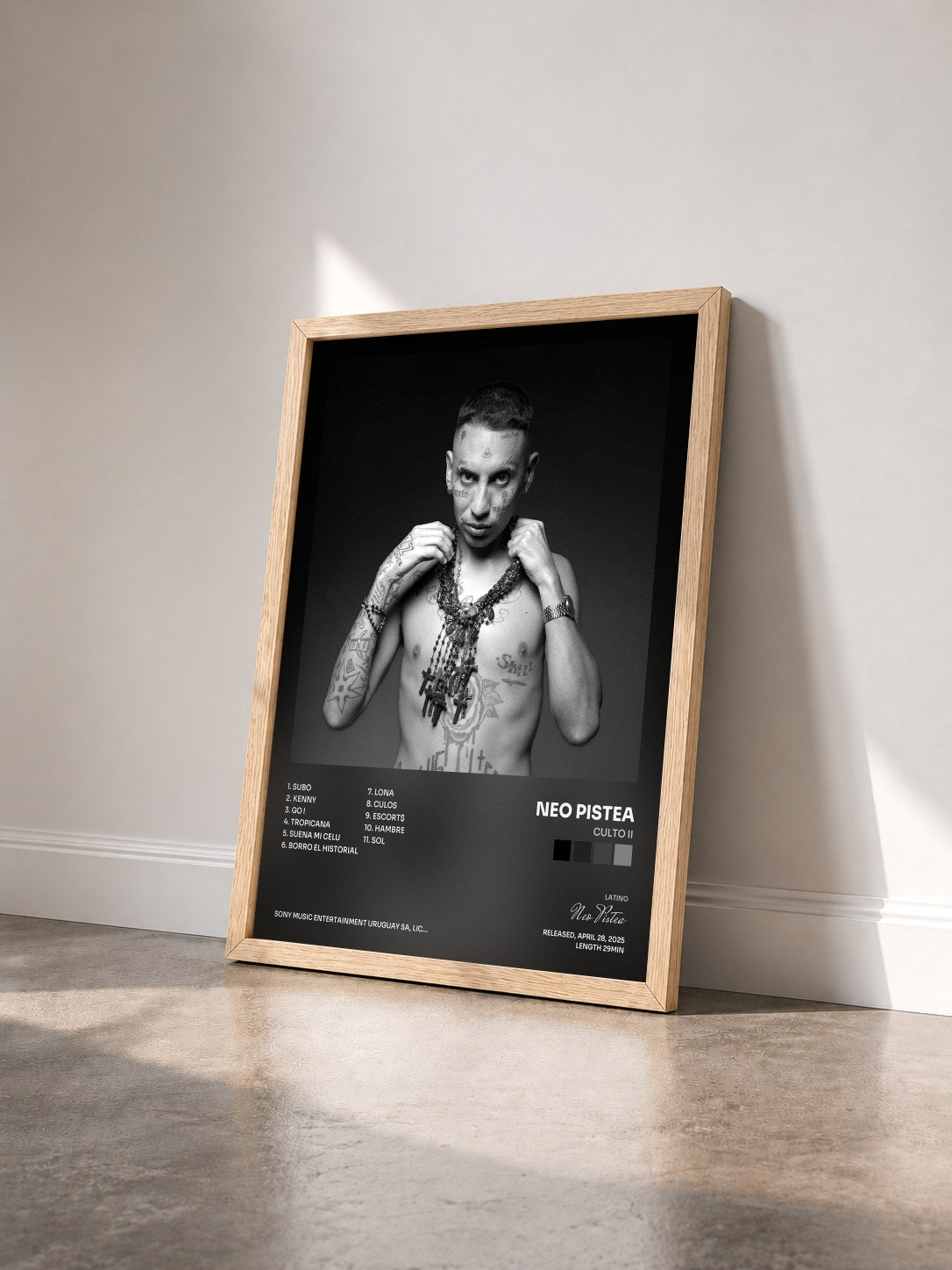 #bois Tableau de l'album CULTO II de Neo Pistea vu de trois quarts, cadre en bois brut