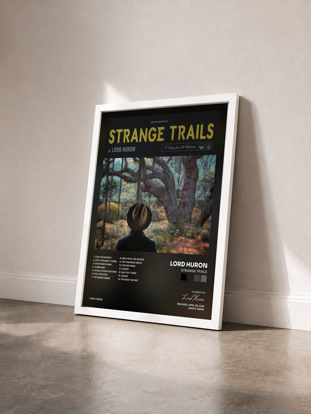 #blanc Tableau de l'album Strange Trails de Lord Huron vu de trois quarts, cadre blanc