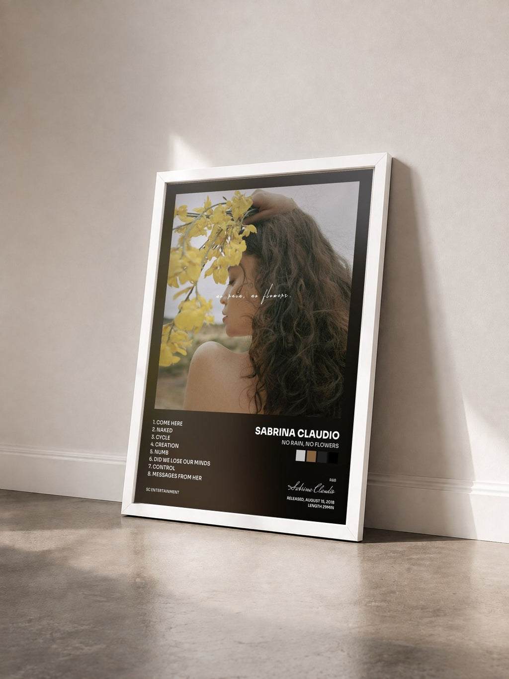 #blanc Tableau de l'album No Rain, No Flowers de Sabrina Claudio vu de trois quarts, cadre blanc