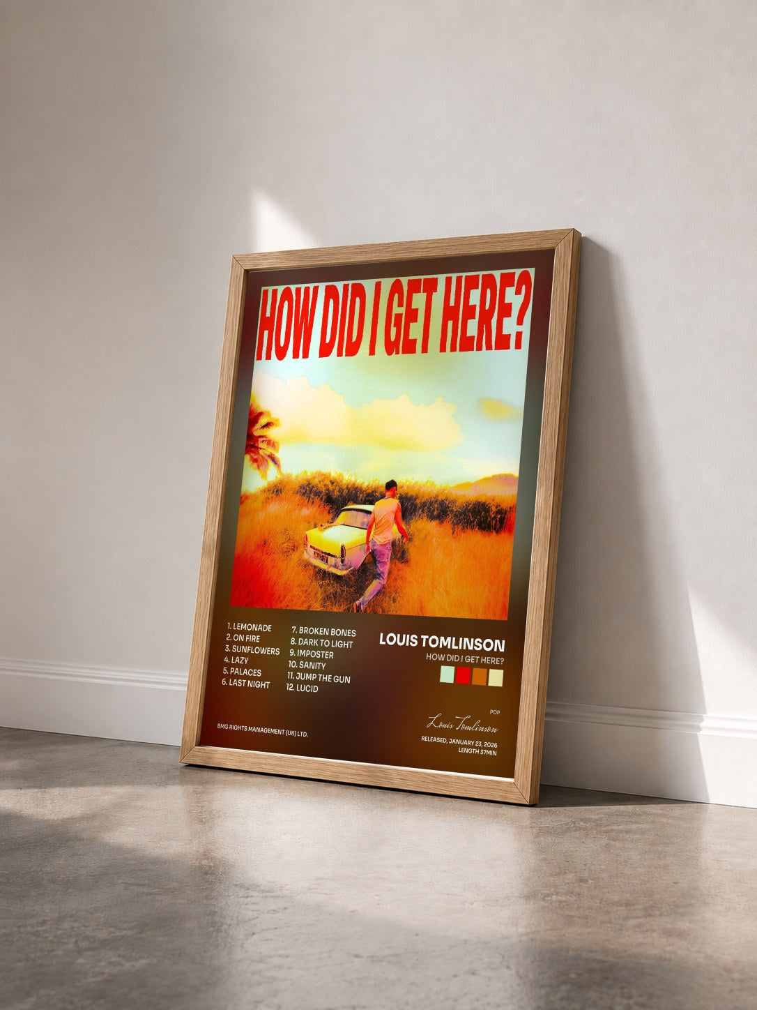 #bois Tableau de l'album How Did I Get Here? de Louis Tomlinson vu de trois quarts, cadre en bois brut